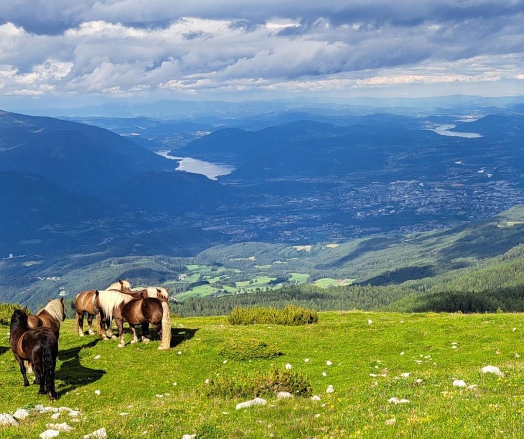 Direkter Seezugang Am Ossiacher See, Radfahren, Wandern & Erlebniscard Villach Zewnętrze zdjęcie